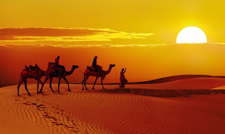 camel safari in jaisalmer